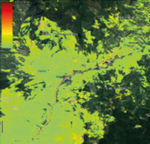ESTUDIO DE MONITOREO SATELITAL DE MOVIMIENTO DE SUELOS